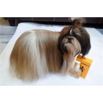تصویر  لوسیون Doggy Dolly مخصوص موی سگ و گربه - 85 میلی لیتر