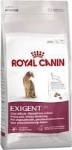 تصویر غذای خشک گربه Royal Canin SAVOUR EXIGENT - 2 کیلوگرمی