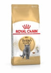 تصویر  غذای خشک Royal Canin مدل British Shorthair مخصوص گربه های بالغ نژاد بریتیش شورت هیر- 2 کیلوگرم