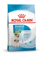تصویر  غذای خشک Royal Canin مدل Starter Mother&BabyDog مخصوص سگ های تا 2 ماه و مادران شیرده - 4 کیلوگرم