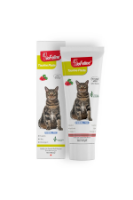 تصویر خمیر تورین BioFeline مخصوص گربه مدل Taurin Paste تقویت کننده سیستم بینایی، قلب، پوست و مو - 100 گرم