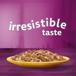تصویر پوچ Whiskas مخصوص گربه ی بالغ تهیه شده از تکه های مرغ در ژله - 85 گرم  
