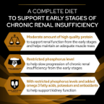 تصویر  پوچ Proplan مدل Renal Function مناسب برای مشکلات کلیوی مخصوص گربه بالغ تهیه شده از مرغ - 85 گرم