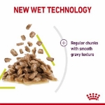 تصویر  پوچ Royal Canin مدل Sensory Smell مخصوص گربه بالغ - 85 گرم
