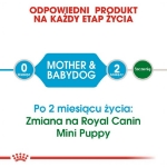 تصویر غذای خشک Royal Canin مدل Starter Mother & Baby Dog مخصوص نوزاد سگ و مادر شیرده برای نژاد های کوچک  - 1 کیلوگرم