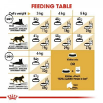 تصویر غذای خشک مخصوص گربه های بالغ پرشین Royal Canin  پرشین - 400 گرمی