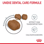 تصویر غذای خشک مخصوص گربه بالغ Royal Canin مدل Dental مناسب برای حفظ سلامت دهان و دندان - 1.5 کیلوگرم