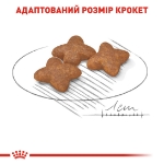 تصویر غذای خشک Royal Canin مخصوص سگ های بالغ نژاد کوچک - ۲کیلوگرم