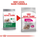 تصویر غذای خشک مغزدار Royal Canin مخصوص سگ های بدغذای نژاد کوچک - ۲کیلوگرم