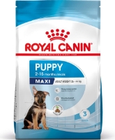 تصویر غذای خشک Royal Canin مخصوص توله سگ های نژاد بزرگ - ۴ کیلوگرم