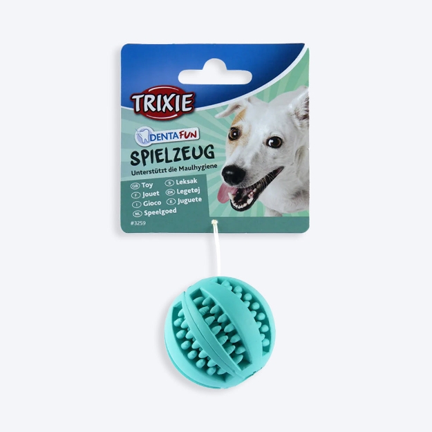 تصویر اسباب بازی Dentafun مخصوص سگ Trixie مدل توپ فوتبال