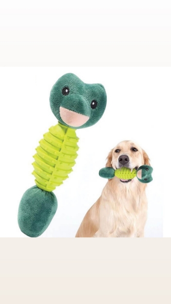 تصویر اسباب بازی دندانی Elite مخصوص سگ مدل قورباغه رنگ سبز 
