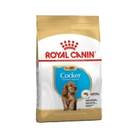 تصویر  غذای خشک Royal Canin مدل Puppy Cocker مخصوص توله سگ های نژاد کاکر - 3 کیلو گرم