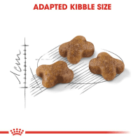 تصویر  غذای خشک Royal Canin مدل Kitten مخصوص بچه گربه های زیر 1 سال - 400 گرم