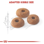 تصویر  غذای خشک Royal Canin مدل Regular Fit مخصوص گربه های بالغ با فعالیت بدنی عادی و استعداد اضافه وزن - 15 کیلوگرم