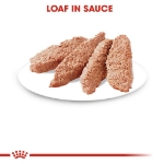تصویر  پوچ Royal Canin مدل Sterilised Loaf مخصوص گربه بالغ عقیم شده - 85 گرم