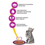 تصویر  پوچ Whiskas مخصوص گربه تهیه شده از گوشت بوقلمون در سس - 100 گرم