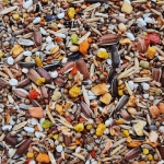 تصویر آجیل TopFeed مخصوص طوطی سانان -وزن  750 گرم 
