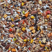 تصویر آجیل TopFeed مخصوص طوطی سانان -وزن  750 گرم 