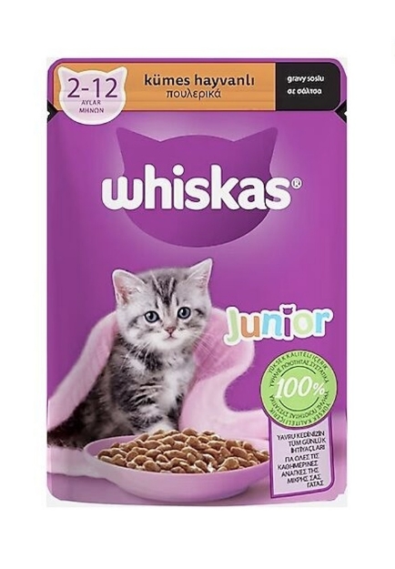 تصویر پوچ Whiskas مخصوص بچه گربه تهیه شده از گوشت مرغ - 100گرم