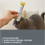 خمیر تورین GimCat مدل Taurine Paste Extra مخصوص گربه مناسب برای بهبود عملکرد قلب و بینایی - 50 گرم