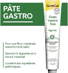 خمیر گسترو GimCat مدل Gastro Intestinal Paste مخصوص گربه مناسب برای بهبود مشکلات گوارشی - 50 گرم