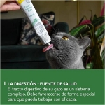خمیر گسترو GimCat مدل Gastro Intestinal Paste مخصوص گربه مناسب برای بهبود مشکلات گوارشی - 50 گرم