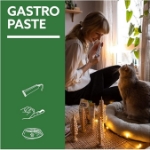 خمیر گسترو GimCat مدل Gastro Intestinal Paste مخصوص گربه مناسب برای بهبود مشکلات گوارشی - 50 گرم