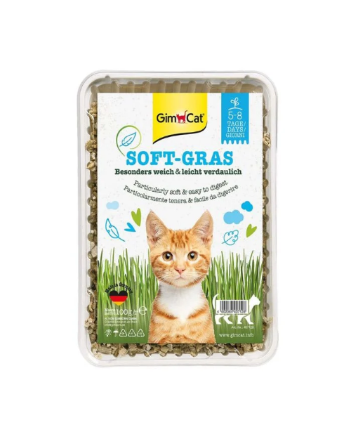 بذر علف GimCat مخصوص گربه مدل Soft Grass حاوی ویتامین - بسته 100 گرم