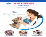 تشویقی دنتال آنتی باکتریال Gnawlers مدل Dent Defence Dog Treat مخصوص سگ - بسته 35 عددی