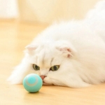 اسباب بازی توپ هوشمند متحرک مدل Rollingball مخصوص سگ و گربه - آبی و صورتی
