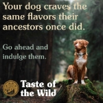 غذای خشک Taste of the Wild مخصوص سگ های بالغ نژاد كوچک تهيه شده از گوشت گوزن و نخود - 2 كيلوگرم