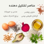 غذای خشک Babin مدل Sterilized تهيه شده از مرغ مخصوص گربه عقیم شده - 1.5 كيلوگرم