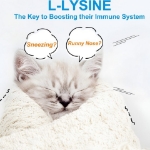 تصویر  پودر Oimmal مدل L-Lysine Immune Support مناسب تقويت سيستم ايمنی مخصوص گربه - 120 گرم