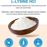 تصویر  پودر Oimmal مدل L-Lysine Immune Support مناسب تقويت سيستم ايمنی مخصوص گربه - 120 گرم