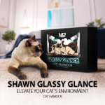 جايگاه پنجره ای Shawn مدل Glassy Glance به همراه اسكرچر مخصوص گربه