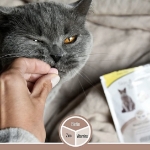 قرص اسنک GimCat مدل Skin & Coat Tabs برای تقويت پوست و مو و جلوگیری از ریزش مخصوص گربه با طعم شیر - 40 گرم