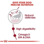 غذای خشک Royal Canin مدل Medium Adult مخصوص سگ های بالغ نژاد متوسط - 500 گرم (زیپ کیپ فله)