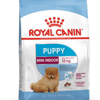تصویر محصول غذای خشک Royal Canin مدل Puppy Mini Indoor مخصوص توله سگ های نژاد کوچک - 1.5 کیلوگرم