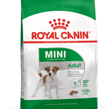 تصویر محصول غذای خشک مخصوص سگ Royal Canin مدل Mini Adult مناسب سگ های بالغ نژاد کوچک - 2 کیلوگرم