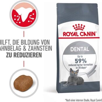 تصویر محصول غذای خشک مخصوص گربه بالغ Royal Canin مدل Dental مناسب برای حفظ سلامت دهان و دندان - 1.5 کیلوگرم