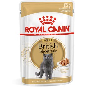 تصویر محصول پوچ Royal Canin مدل British Shorthair مخصوص گربه های بالغ با نژاد بریتیش - 85 گرم