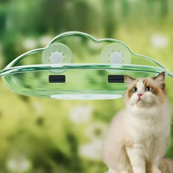عکس جای خواب پنجره ای مدل شفاف طلقی مخصوص گربه بی رنگ