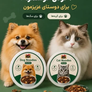 نودل ليپا با طعم مرغ مخصوص گربه - 50 گرم