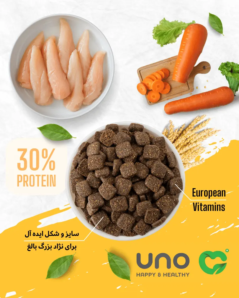 عکس غذای خشک Uno مدل Large Adult مخصوص سگ بالغ نژاد بزرگ - 10 كيلوگرم